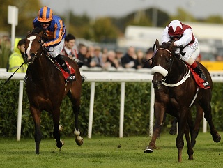 Seville (left) sets the standard on  his Racing Post Trophy run