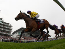 Sea The Stars should go off a shade under [1.5] for Tuesday's Juddmonte International Stakes