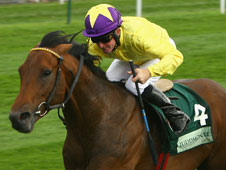 The brilliant Sea The Stars seems unlikely to go to Leopardstown 