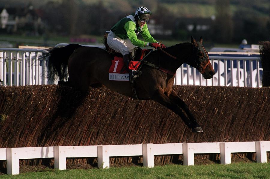 See More Business 2001 at Cheltenham Festival Trials.jpg