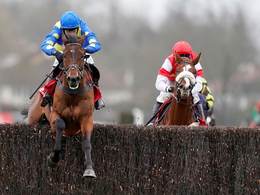 Shan Blue Kauto Star Kempton 261220 1280.jpg