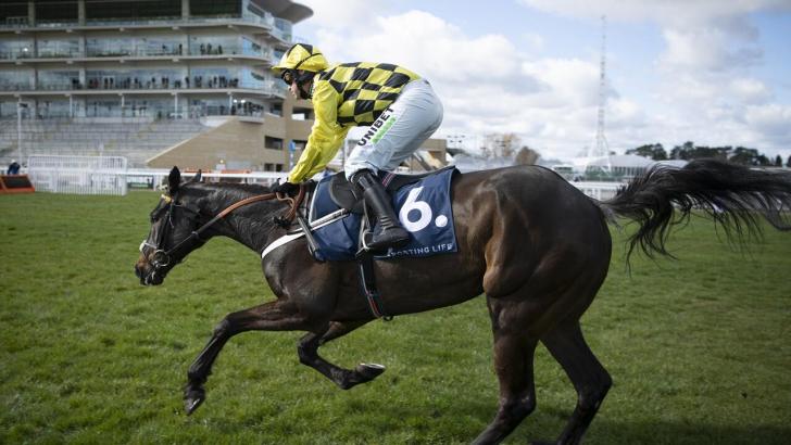 Ryanair Chase favourite Shishkin