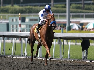 Sidney's Candy: A viable alternative to Goldikova?