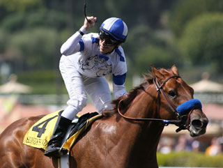 All eyes will be on Sidney's Candy as he takes on older horses for the first time in the Grade 2 Oak Tree Mile