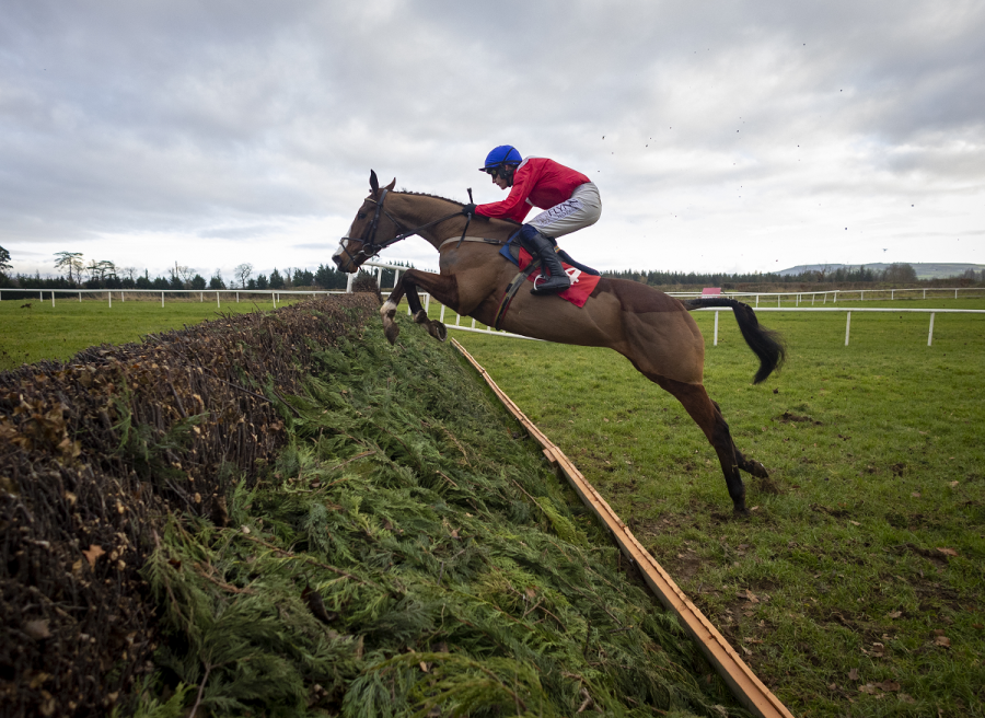 Sir Gerhard jumping a fence 1200 x 820.png