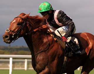 Sir Gerry: Crosses the Irish Sea again to contest the listed sprint at Cork