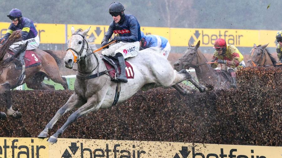 Snow Leopardess Betfair 1280 .jpg