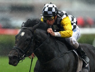 So You Think is the red-hot favourite for the Irish Champion Stakes at Leopardstown today