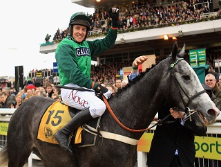 Soldatino: Bidding to maintain his unbeaten record over hurdles