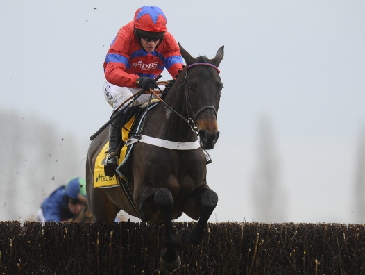 Sprinter Sacre may be odds-on, but he will struggle to win the Arkle