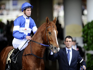 Star Witness: Can make the trip to Britain worthwhile in the July Cup