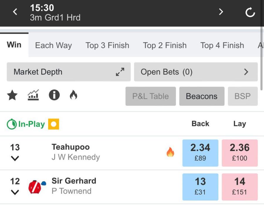 Stayers Hurdle beacon.jpg