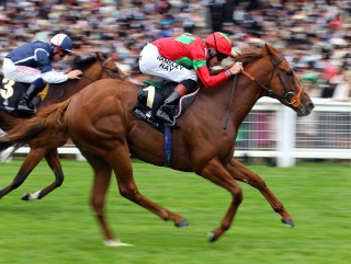 Strong Suit has a strong chance in the Lennox