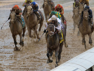 003 Timeform US SmartPlays