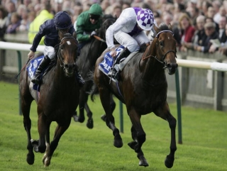 Unbeaten dual Group 1 winner Teofilo (right) should have a large first-crop running this year.