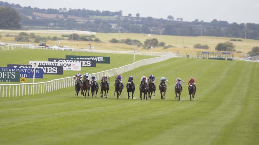 The Curragh flat action 1280.jpg