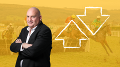 Betfair horse racing tipster Tony Calvin