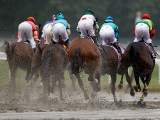 003 Timeform US SmartPlays