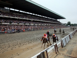 003 Timeform US SmartPlays