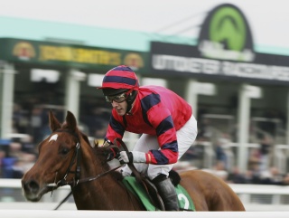 Flower Haven can continue her winning spree at Uttoxeter