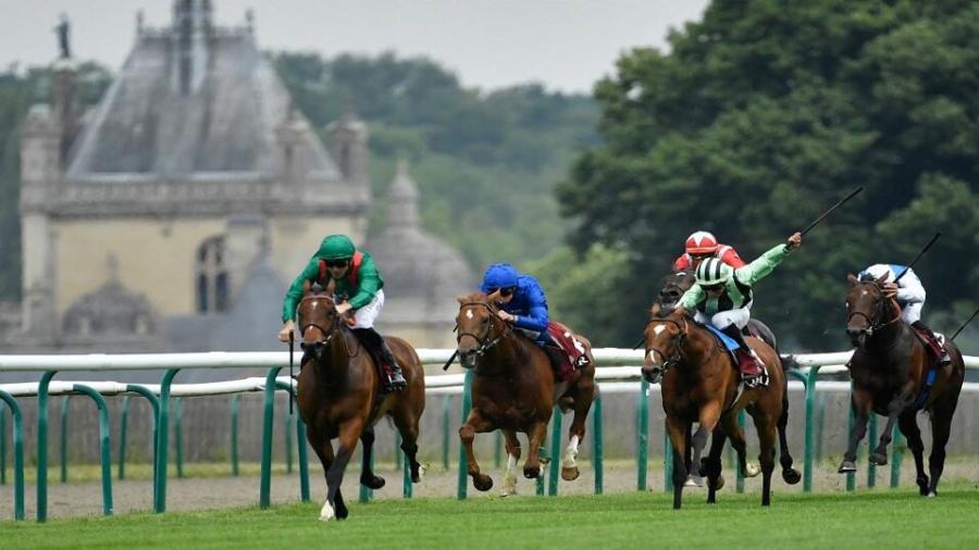 Vadeni wins French Derby.jpg