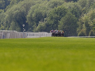 Windsor Races