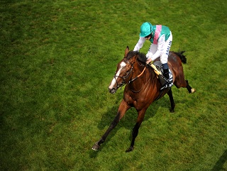Workforce: Worth backing to atone for his defeat in last year's King George