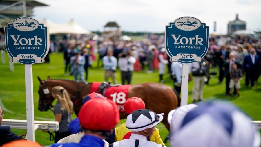 York racecourse with signs.jpg