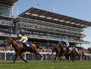 The Musidora at York is sure to prove informative with an eye to the Oaks
