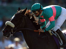 The great Zenyatta