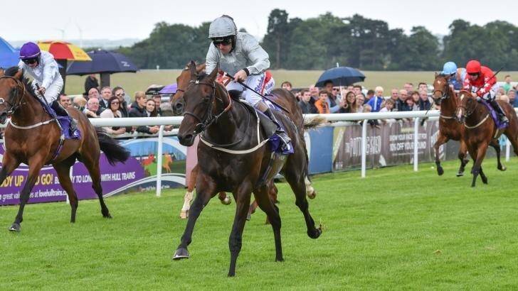 Beverley  horse racing