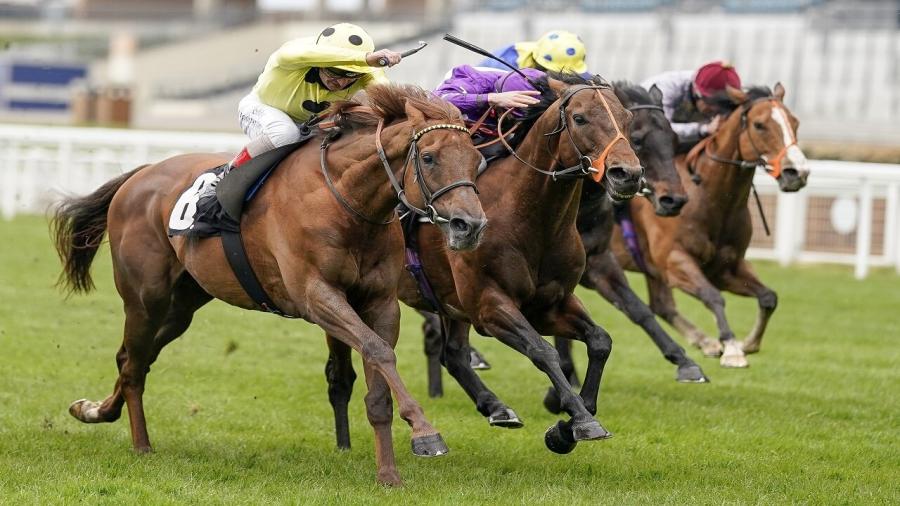 Betfair Ascot.jpg