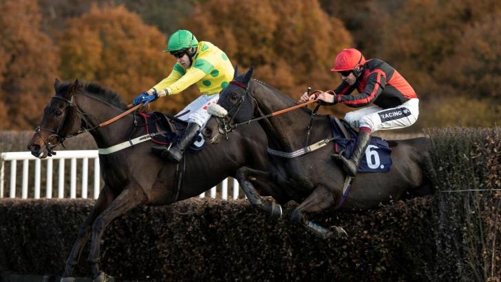 Lingfield fences