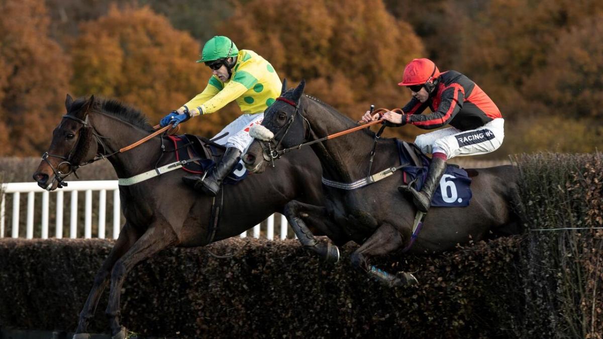 Lingfield jumps