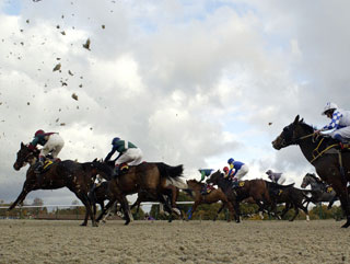Dane O'Neill could enjoy a good afternoon at Lingfield