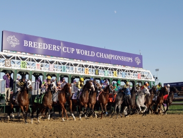 Breeders Cup stalls US.jpg