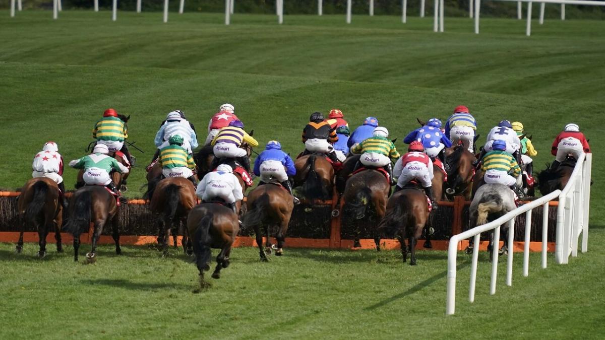 Punchestown races