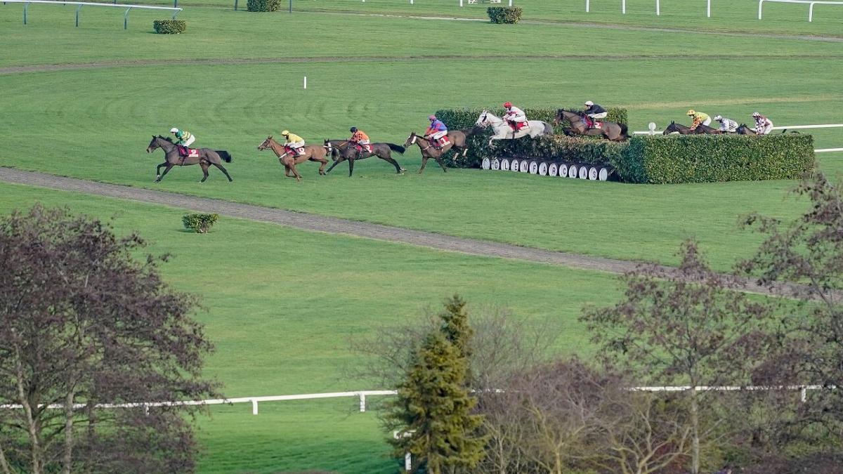 Cheltenham Cross Country