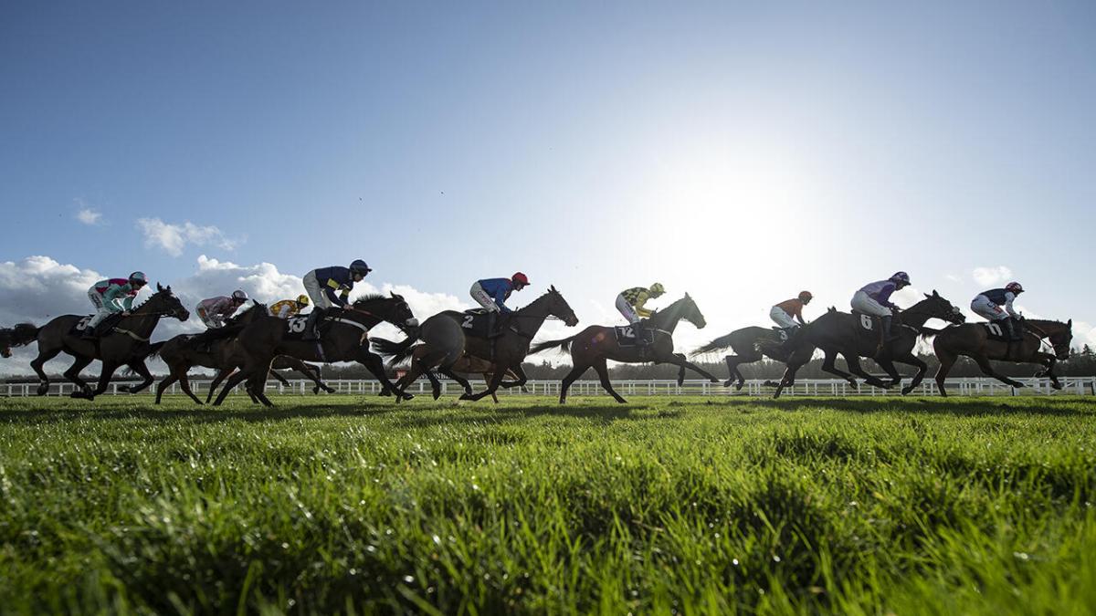 Horse racing action 