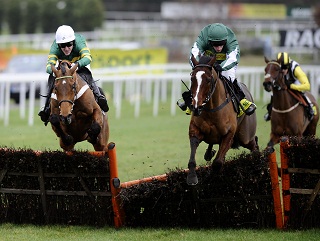 Binocular winning his prep race at Sandown