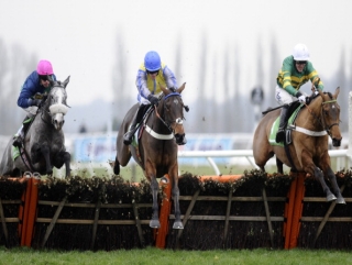 Binocular has more than just Peddlers Cross to worry about in the Champion Hurdle.