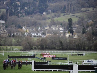 Get tips for all Channel 4 races at the Cheltenham Festival with Timeform TV Focus 