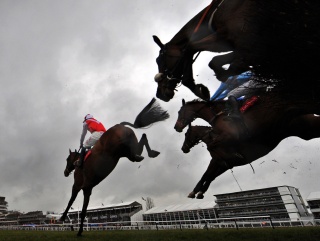 The Champion Bumper takes place on Day Two of Cheltenham
