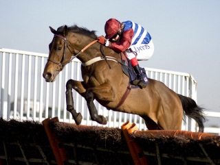 Triumph Hurdle contender Grumeti is on the drift
