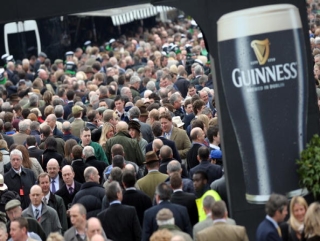 There's every chance of more Irish-trained winners to come.