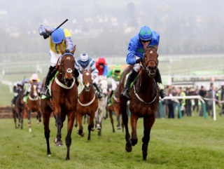 Hurricane Fly is favourite to win the Champion Hurdle again