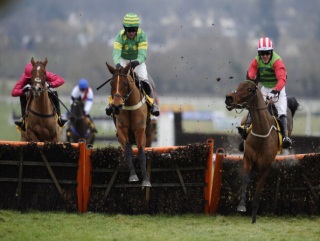 We hope Indian Daudaie (left) can rise to the challenge at Cheltenham.