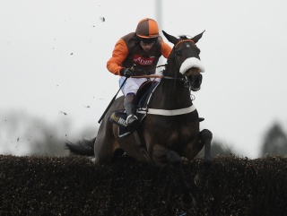Jack believes Long Run is a lay in the Gold Cup place market