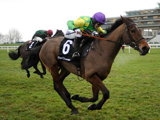Can Master Minded do it again at Cheltenham? 