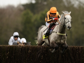 Top jockey contender Robert Thornton looks to have his best chance with Medermit